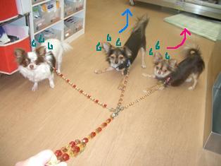 あせ.JPG