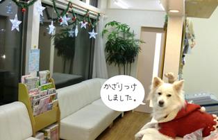 しらサンタ.JPG