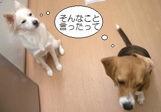 すねた.JPG