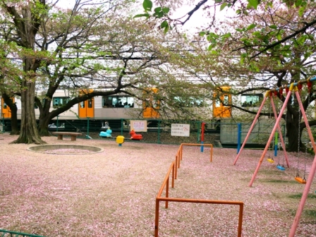 公園blog.JPG