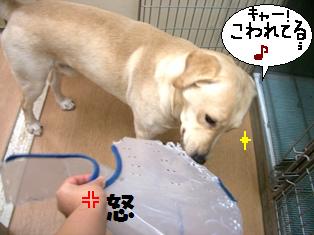 破壊.JPG