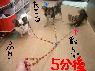 5分後.JPG