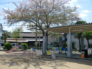 CIMG5836.JPG