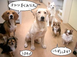 trick!2.JPG
